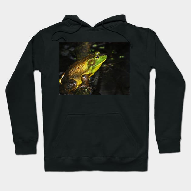 "Prince Charming" Hoodie by LaurieMinor